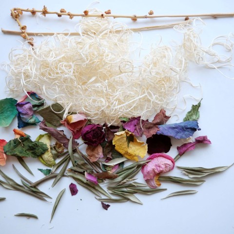 Dried Boxwood Leaves